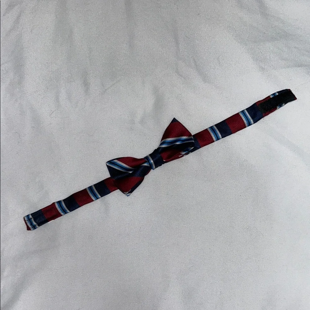 Elegant Striped Bow Tie - Burgundy and Navy